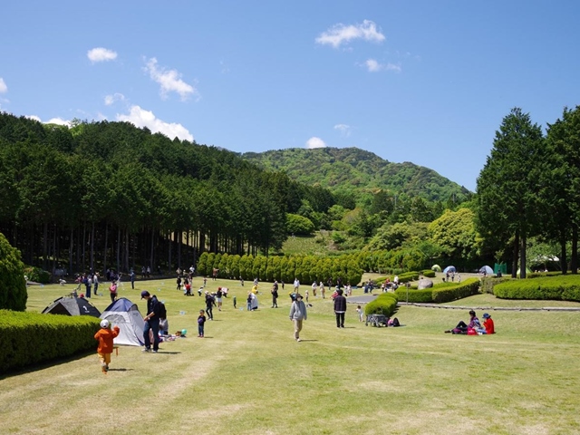 三重県民の森