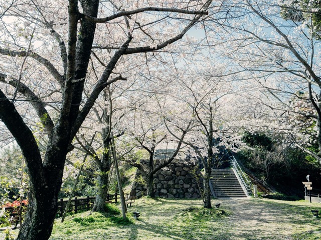 鳥羽城跡　城山公園