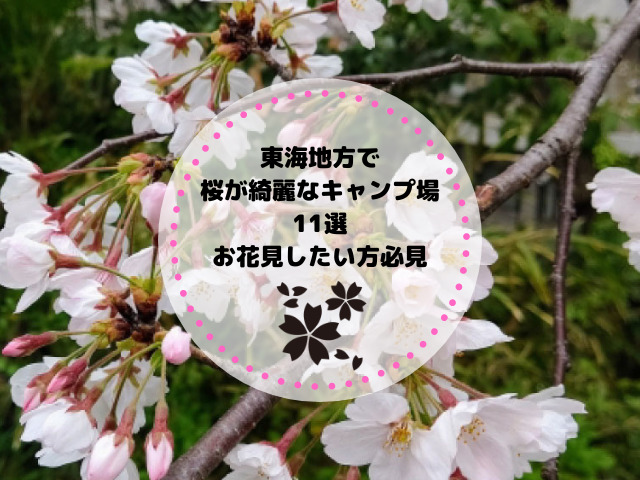 東海地方で桜が綺麗なキャンプ場11選｜お花見したい方必見
