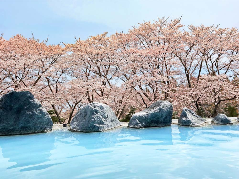 東海地方で桜が綺麗なキャンプ場について