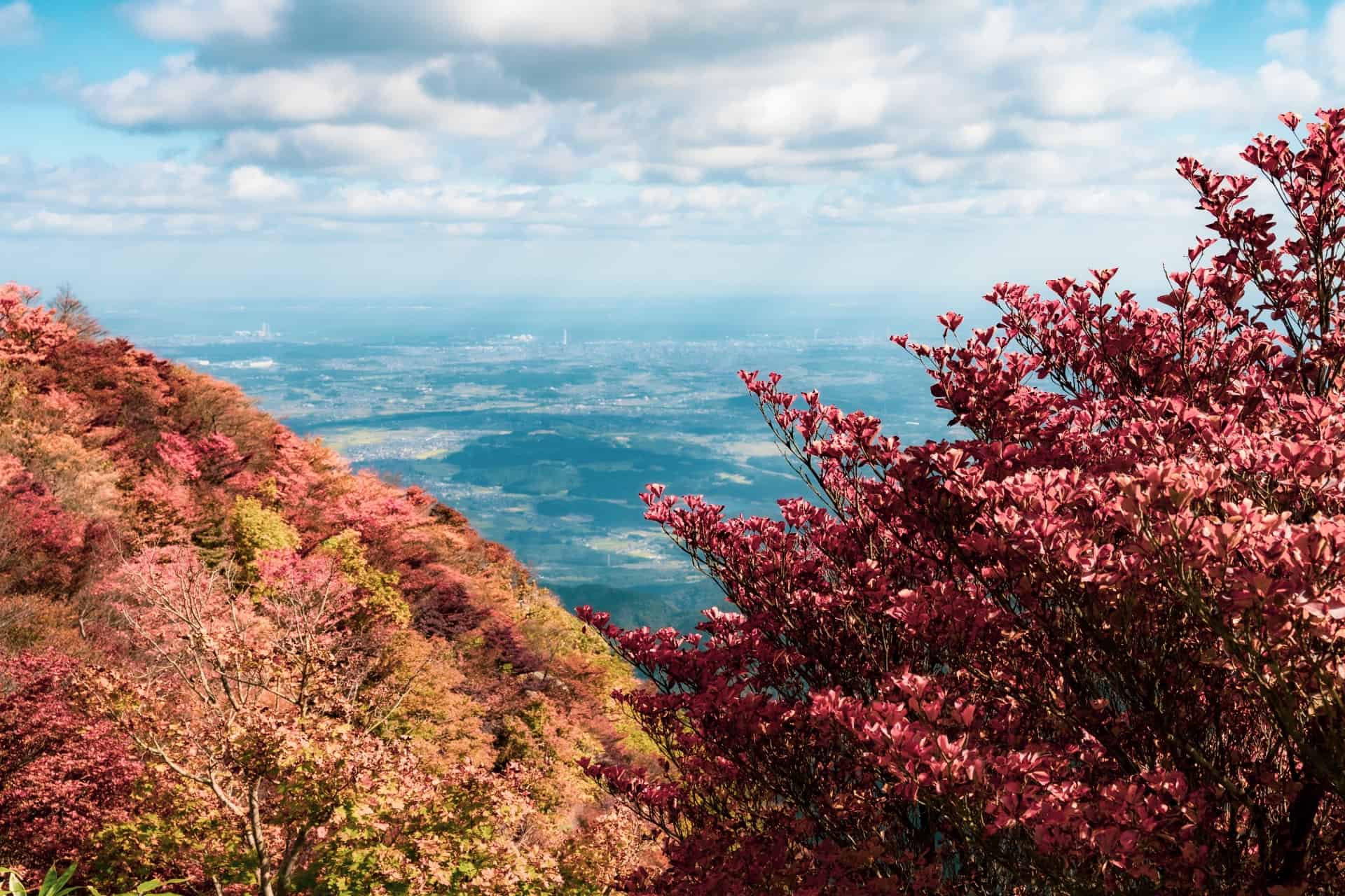 湯の山温泉のおすすめの過ごし方