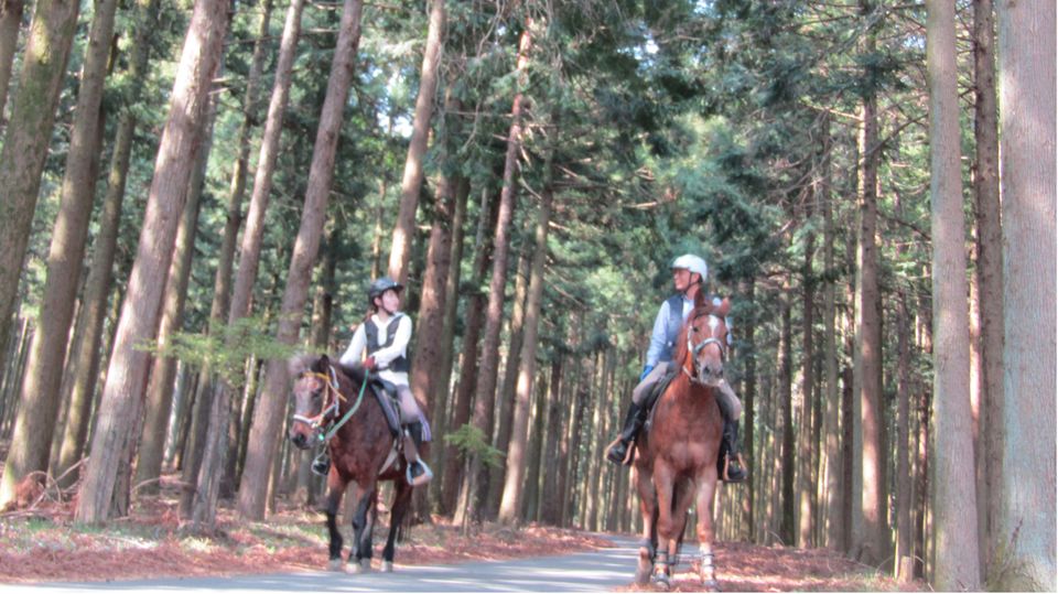 湯の山乗馬クラブとは
