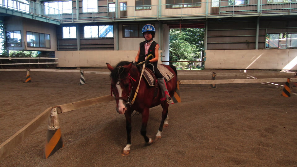 湯の山乗馬クラブでできること