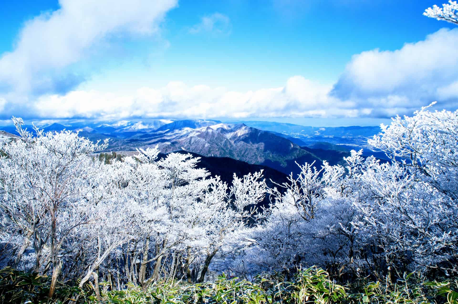 名古屋から湯の山温泉までバスで向かう際の注意点