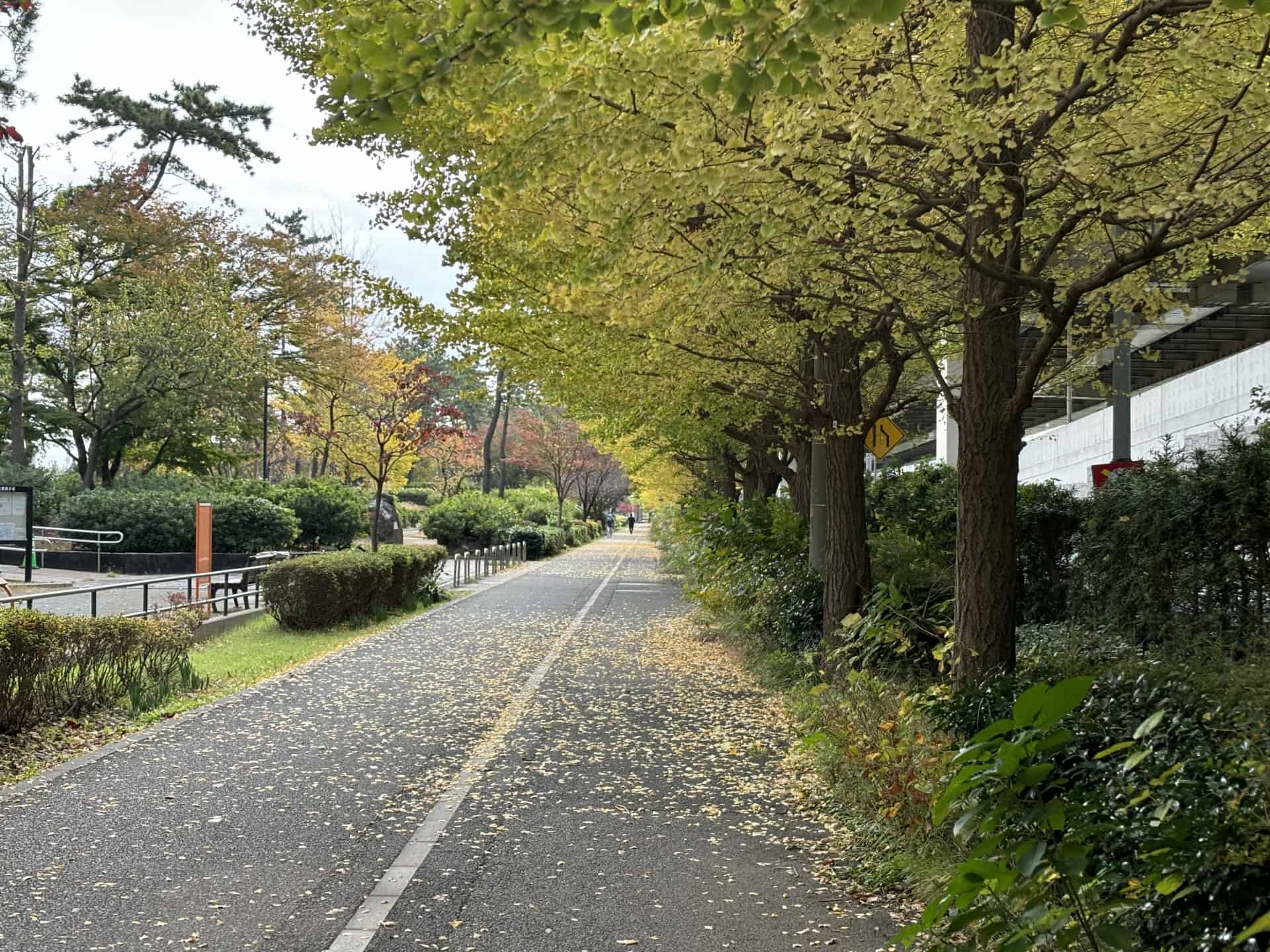 東海地方のおすすめサイクリングコース7選