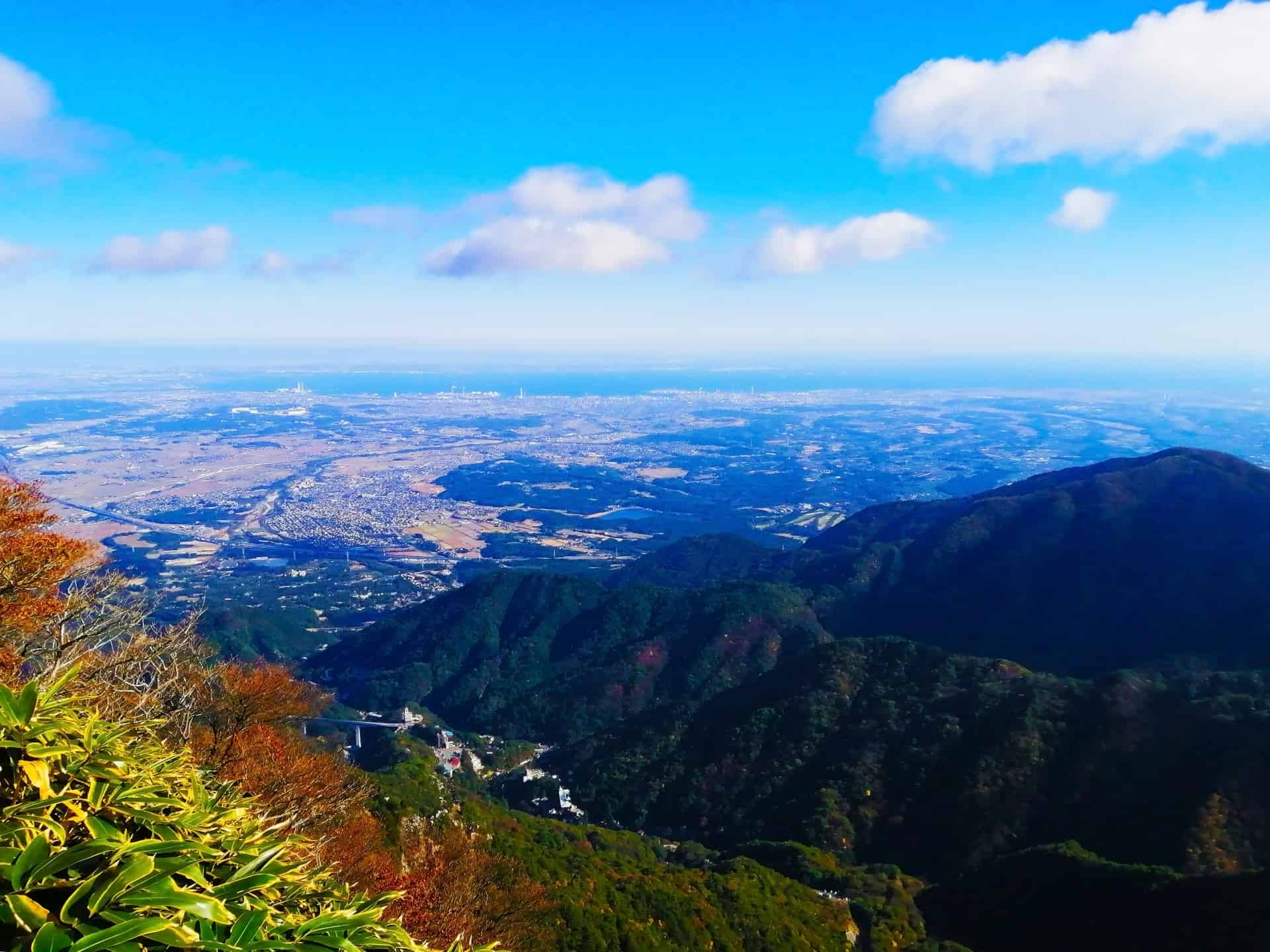 ハルリンドウを見られる山