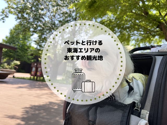ペットと行ける東海エリアのおすすめ観光地7選！旅行時の持ち物も解説