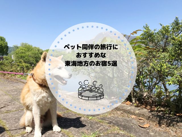ペット同伴の旅行におすすめな東海地方の泊まれる宿5選！注意点と観光地も