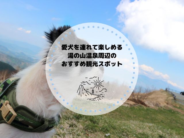 愛犬を連れて楽しめる湯の山温泉周辺のおすすめ観光スポット！旅行プランも