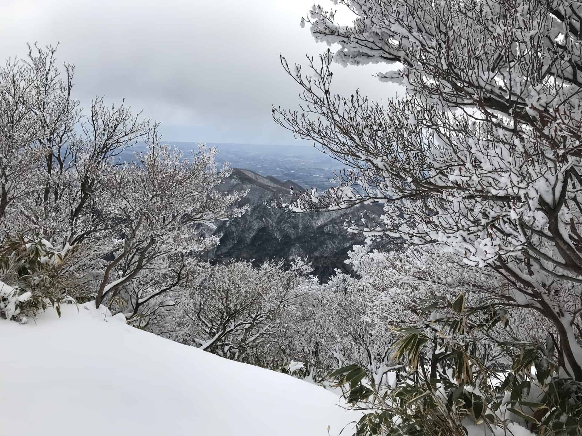 冬の国内旅行の楽しみ方